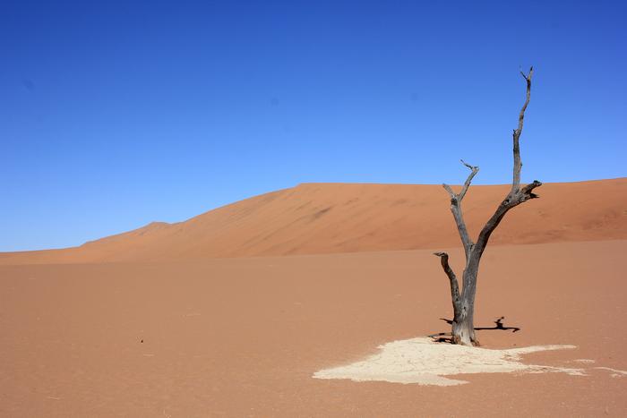 Deadvlei