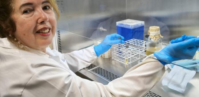 New antiseptic capable of eliminating 99.9% of Candida parapsilosis cells