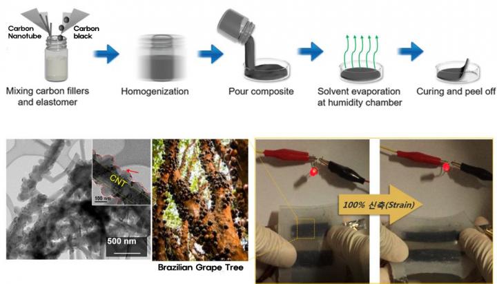 The Overall Fabrication Process of HCP Electrode