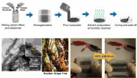 The Overall Fabrication Process of HCP Electrode