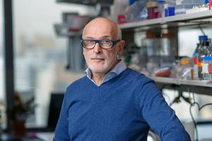 Dr, Alexander Rudensky