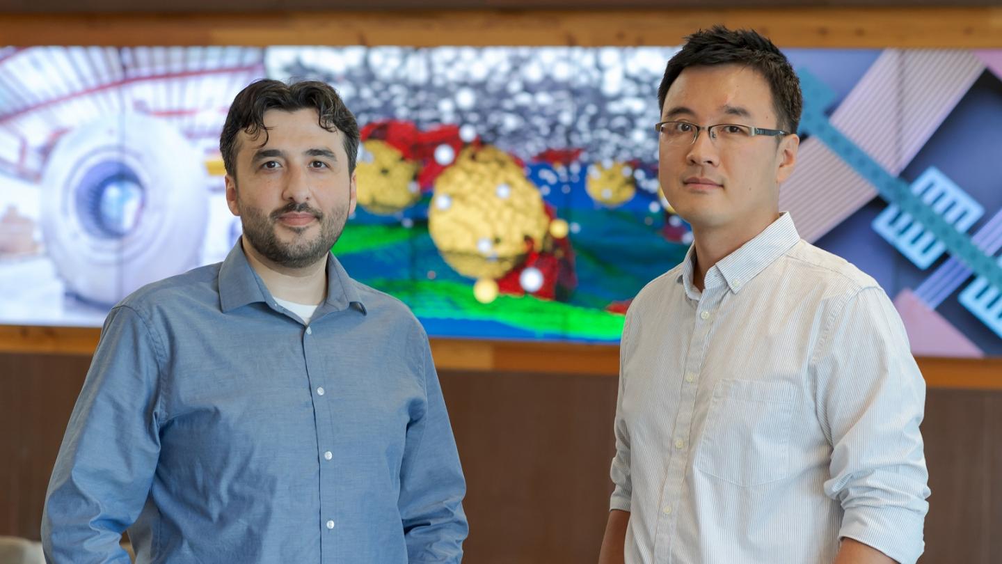 2019 Awardees of DOE Early Career