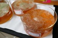 Cellulosic Fiber