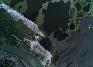 Driftwood along the Arctic coasts