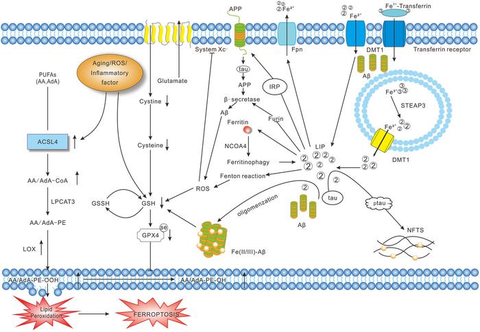 FIG 3