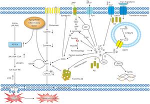 FIG 3
