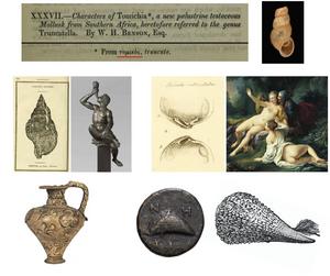 Scientific naming and Graecism in molluscan taxonomy