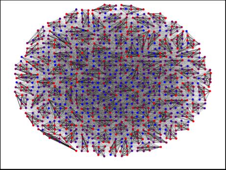 Social Network