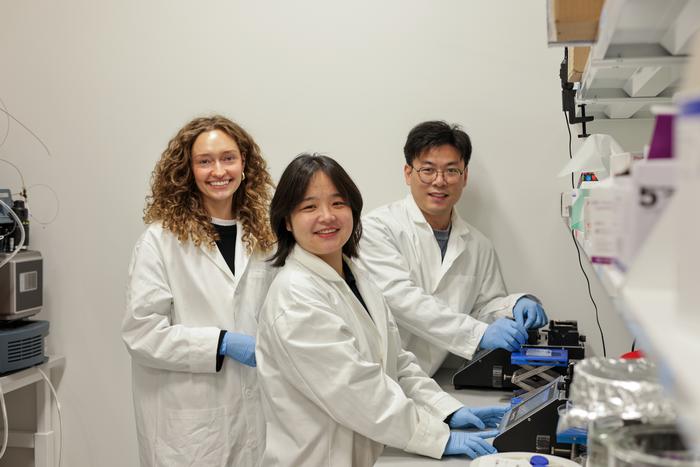 Synthesizing the nanoparticles