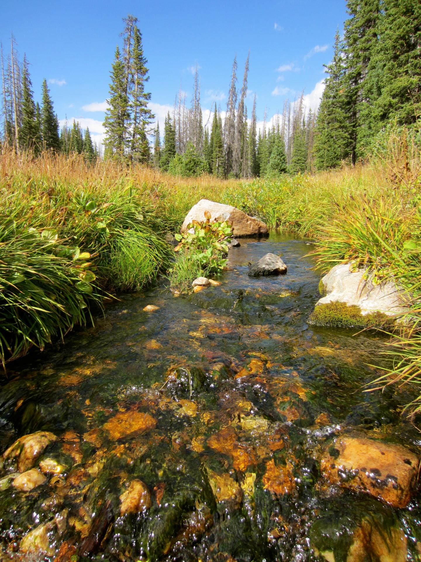 French Creek, Wyoming, USA
