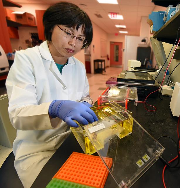 Dr. Weiqin Chen, Medical College of Georgia at Augusta University