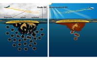 Deepwater Horizon Disaster