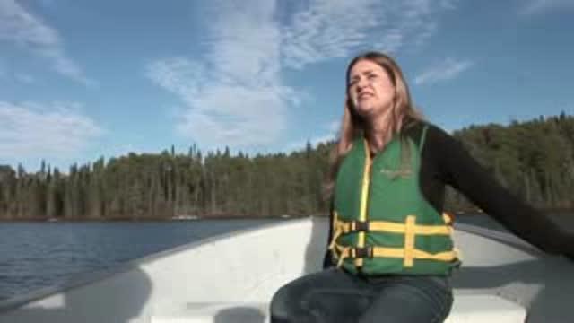 Distilling Science at the Experimental Lakes Area  Phosphorus, Algae and Nutrient Loading