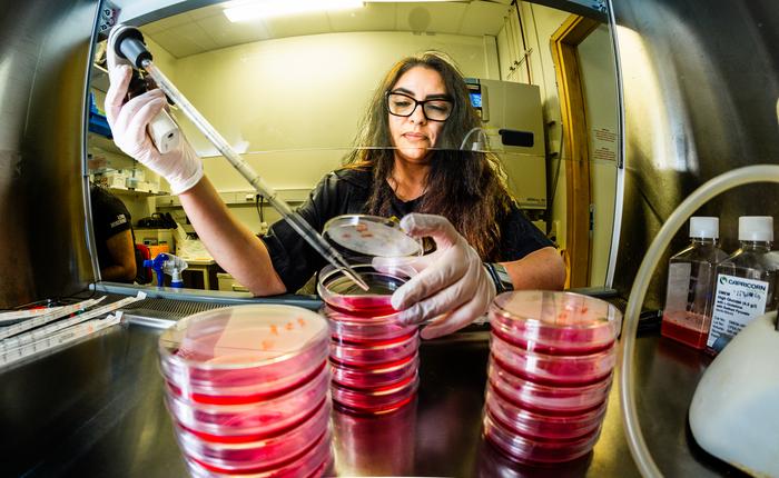 Genetic research Linköping University