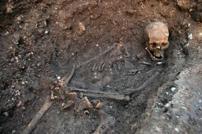 Human Remains