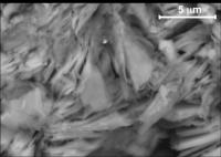 Caprock Fibers