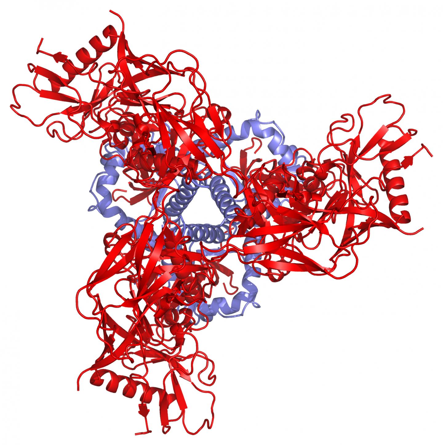 Pre-fusion HIV Spike
