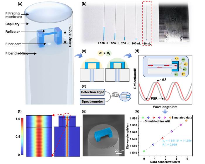 Working principle of micro conductivity detector
