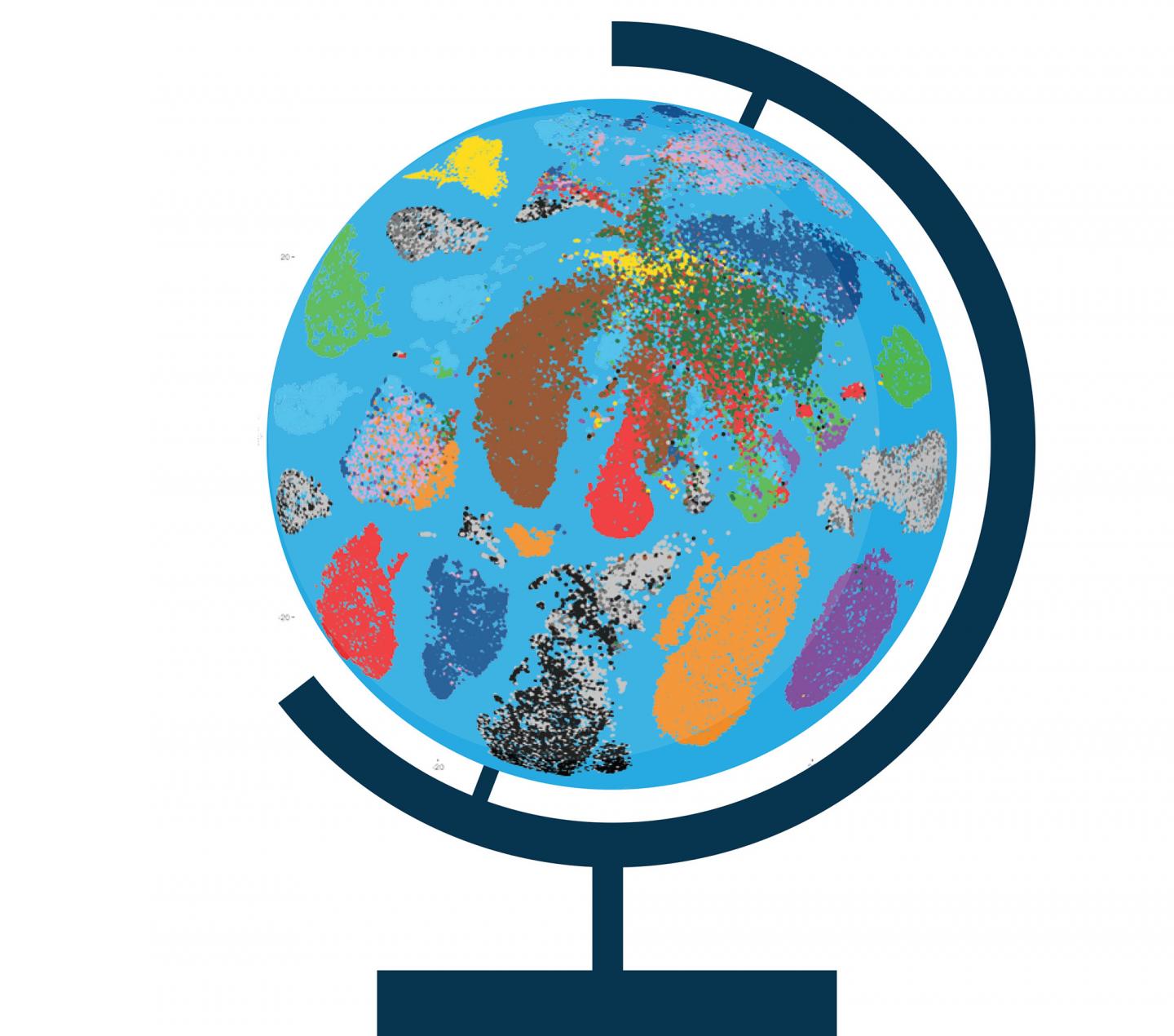 Mouse Cell Atlas