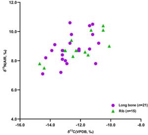 Figure 1 Scatter plot of δ13C and δ15N values of bone collagen