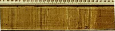 Lake Bosumtwi Sediment Core