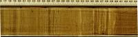 Lake Bosumtwi Sediment Core