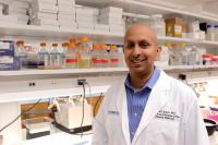 Rana Gupta, Ph.D.