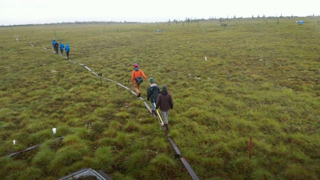 Terry Chapin -- Volvo Environment Prize