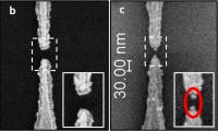 Electron microscope image.