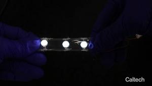 Stretchy implantable biosensor