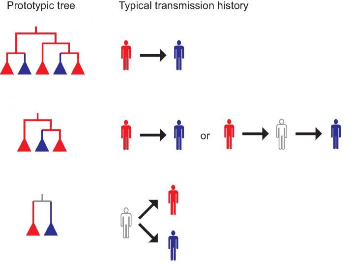 Typical Trees