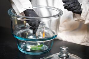 plants for drug production in space - 3