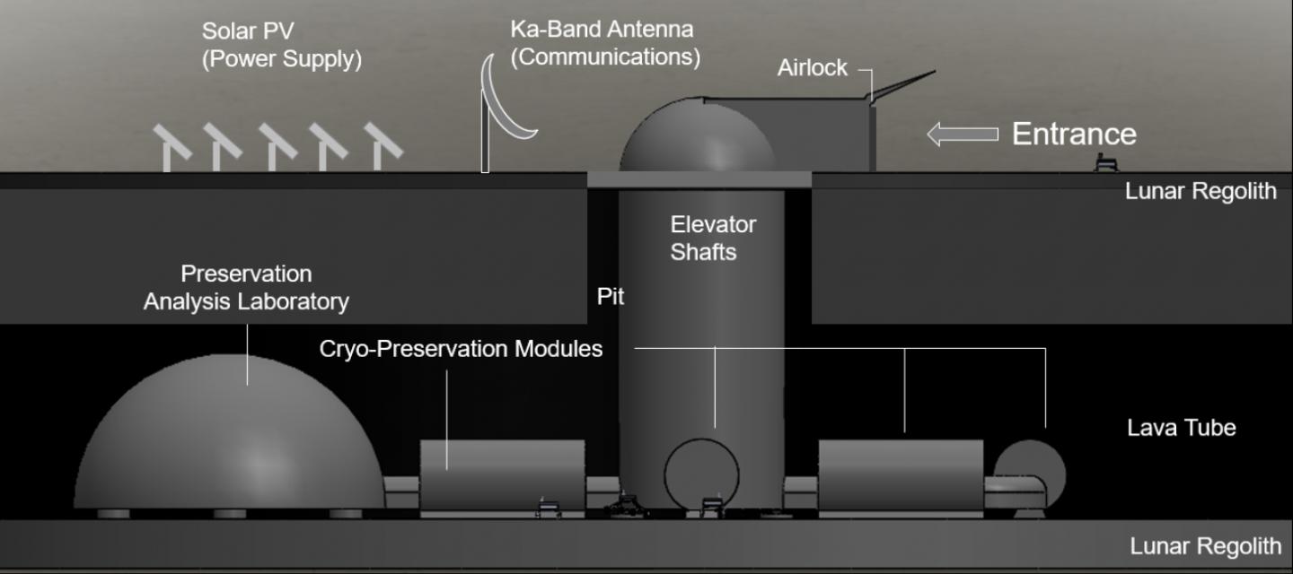 Ark Design 1