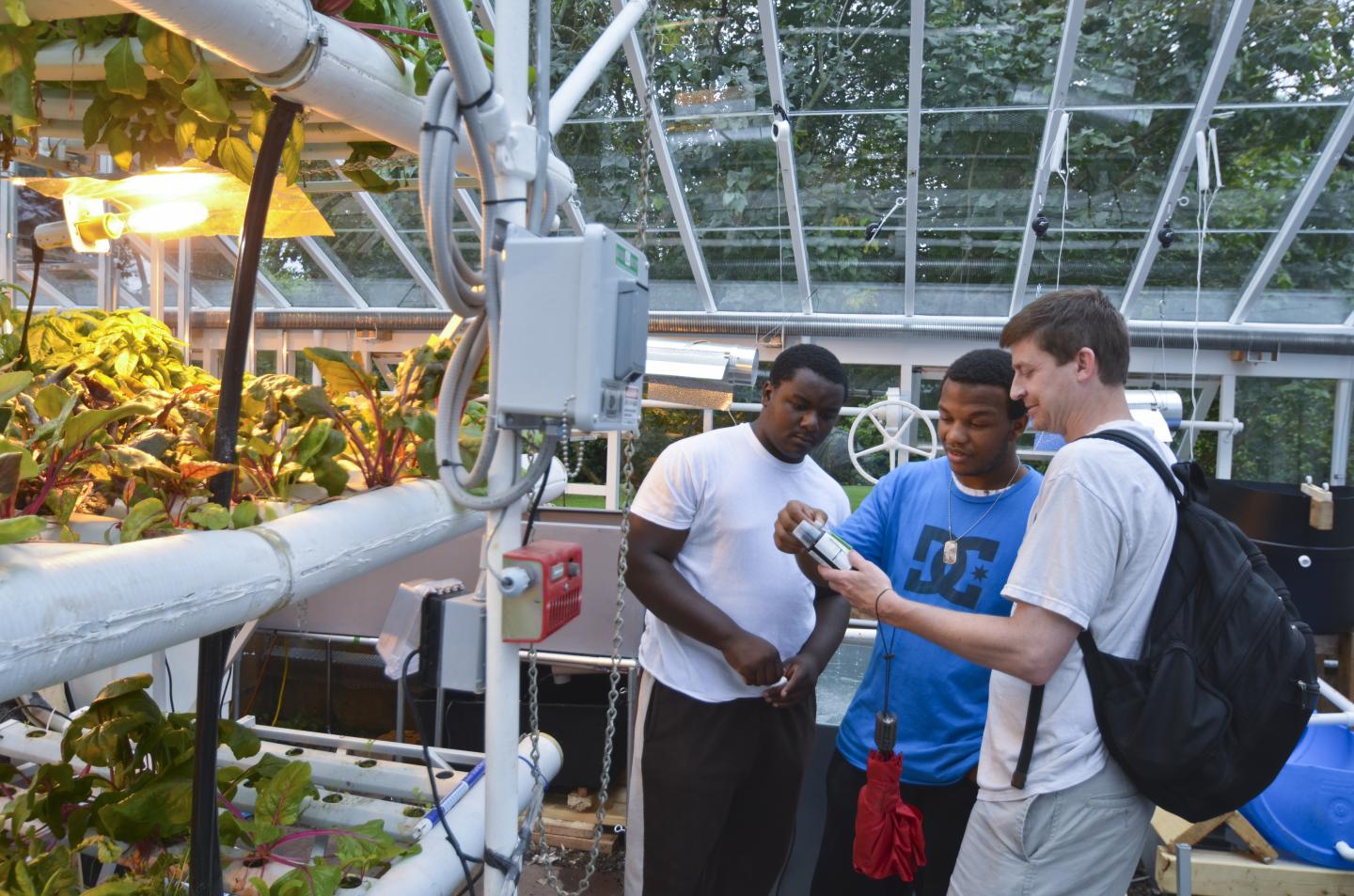 Hydroponic Gardening Lessons