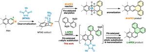 Previous M-APEX and new L-APEX reaction scheme
