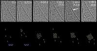 Salt nucleation