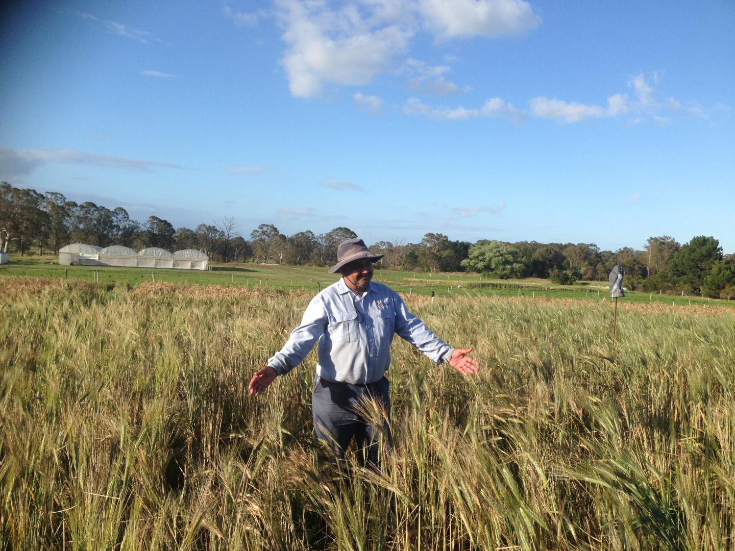 Harbans Bariana, University of Sydney