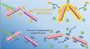 Graphical abstract of the research