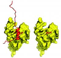 Group of Molecules