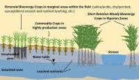 Figure 1 Concepts of Integrated Landscape Management