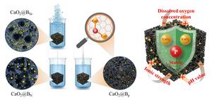 Chemical anchoring of CaO2 on phosphate-modified rice husk biochar for stabilized oxygen release