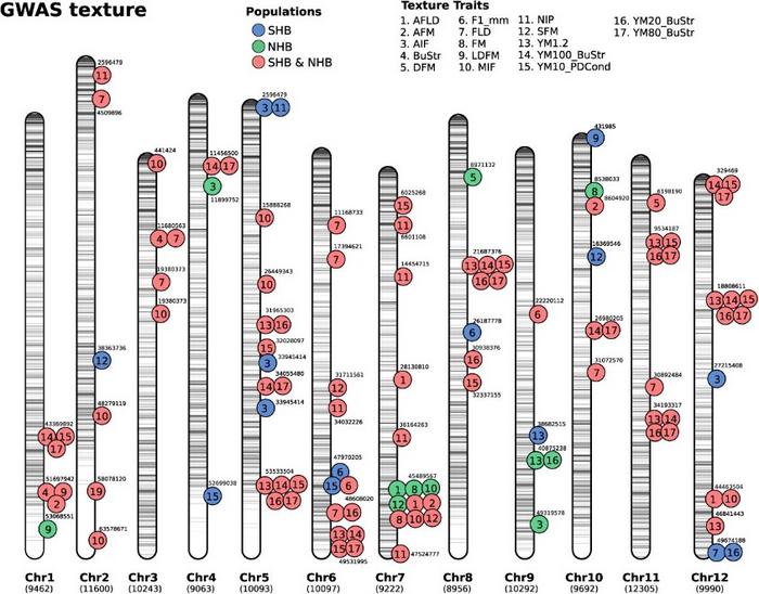 SNP-trait associations detected via GWAS (GWAS).
