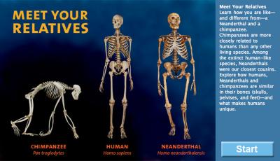Science Honors American Museum of Natural History Website (1 of 7 ...
