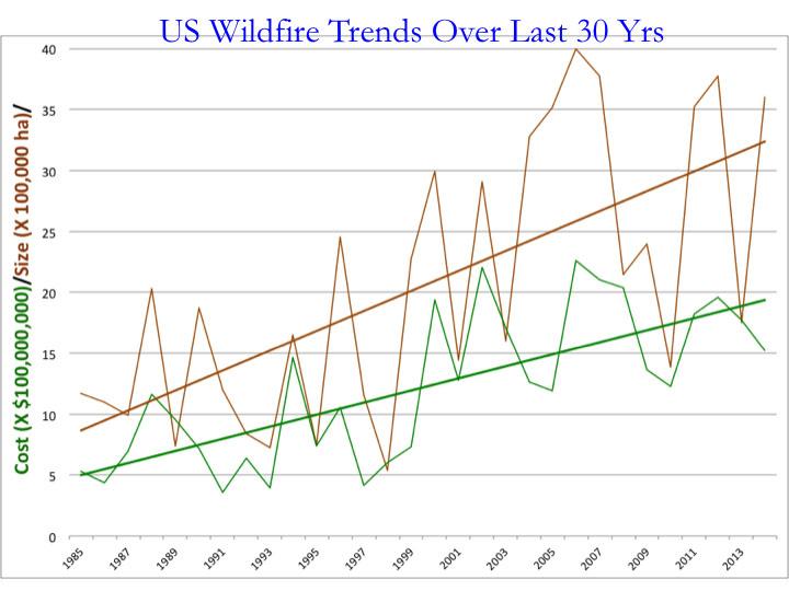 Learning to Live With Forest Fire (3 of 4)