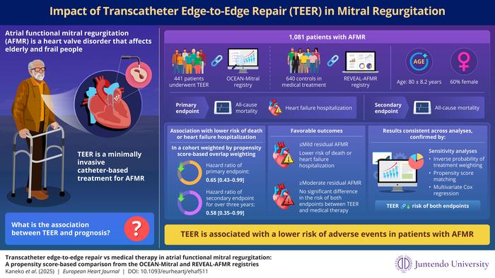 Association between TEER and clinical outcomes in atrial mitral regurgitation