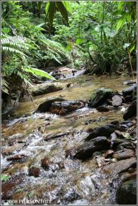 La Laja River