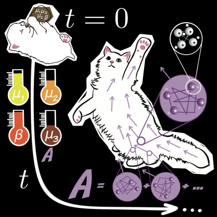 Particle dynamics in a cat