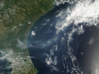 The Honey Prairie Complex Fire, Georgia