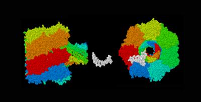 Nanopore Sequencing