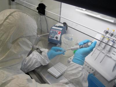 Lab DNA Analysis